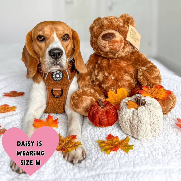 Bailey and Coco - Vente Harnais – chien - Ensemble de harnais pour chien Trail & Glow® - Ours en peluche3