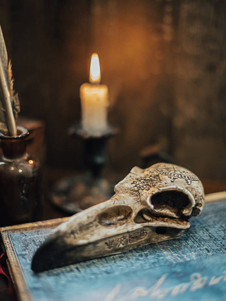 Decorazione di Halloween con teschio di corvo in resina gotica vegana per la vendita all'ingrosso da parte di Costurero Real