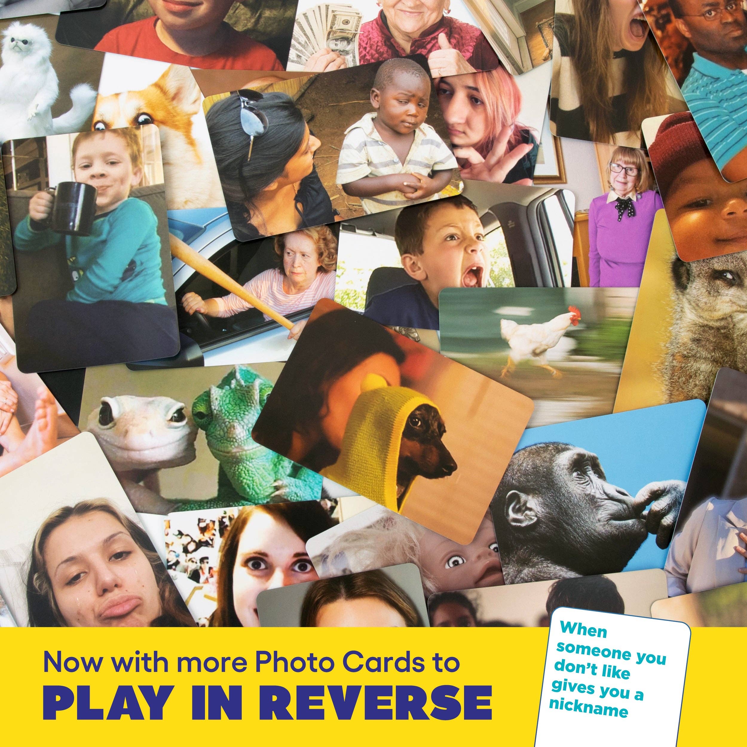 What Do You Meme - Wholesale Card Game - What Do You Meme?® Family Edition - The Hilarious Family Card Game for Meme Lovers4