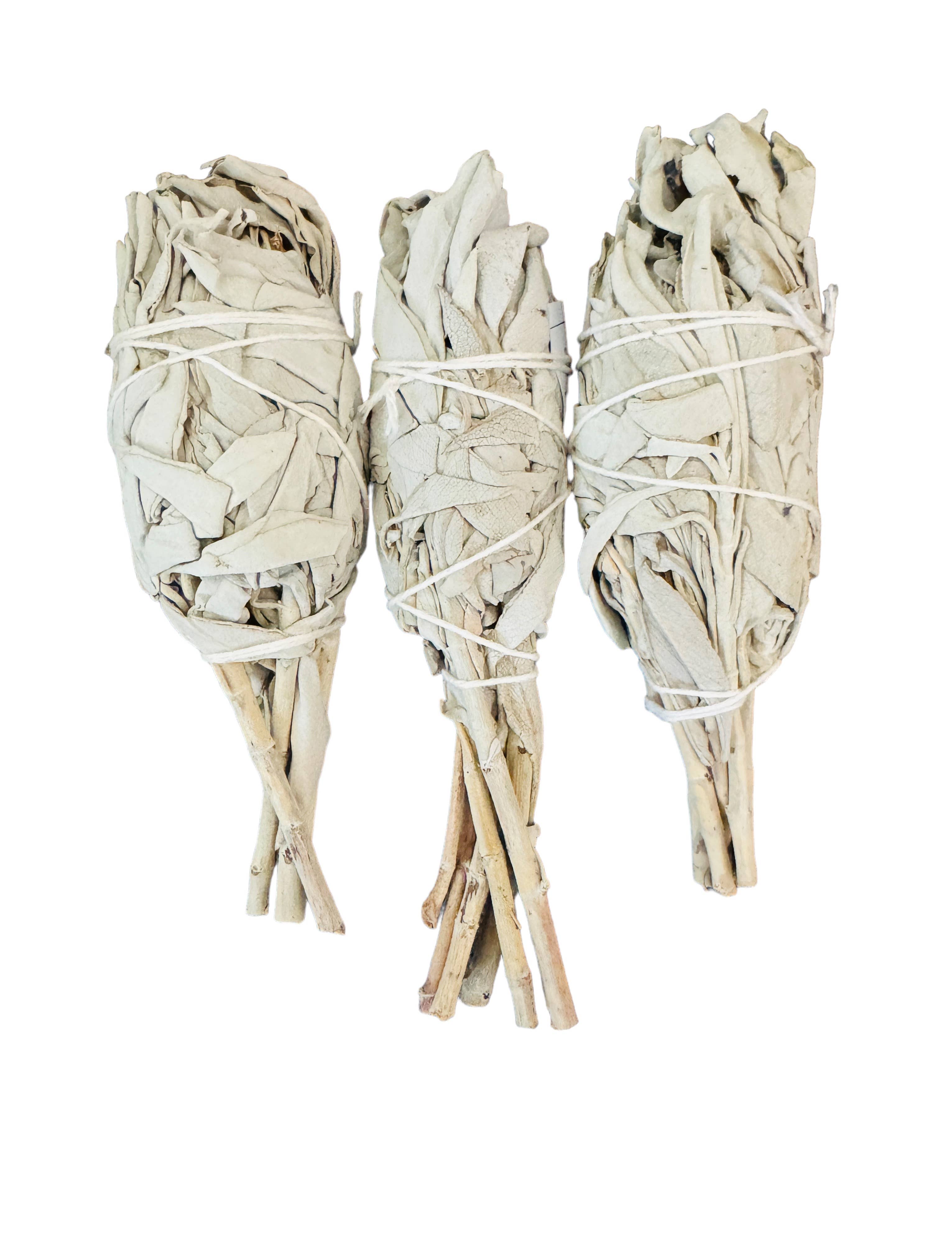 Bholi Sage Plus - Wholesale Sage Bundle - White Sage Torch1