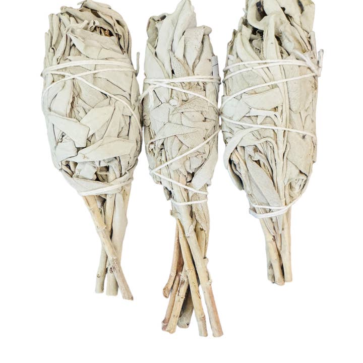 Bholi Sage Plus - Wholesale Sage Bundle - White Sage Torch1