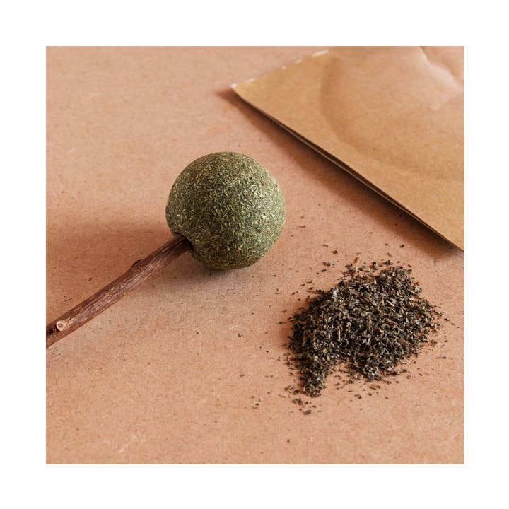 Catnip biologico per la vendita all'ingrosso da parte di Practicality Skin & Body care