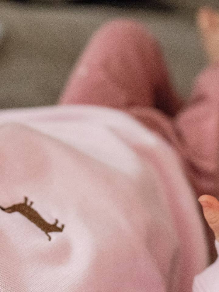 tierly - Wholesale Sweatshirt - Kids - Baby sweatshirt with dachshund embroidery8