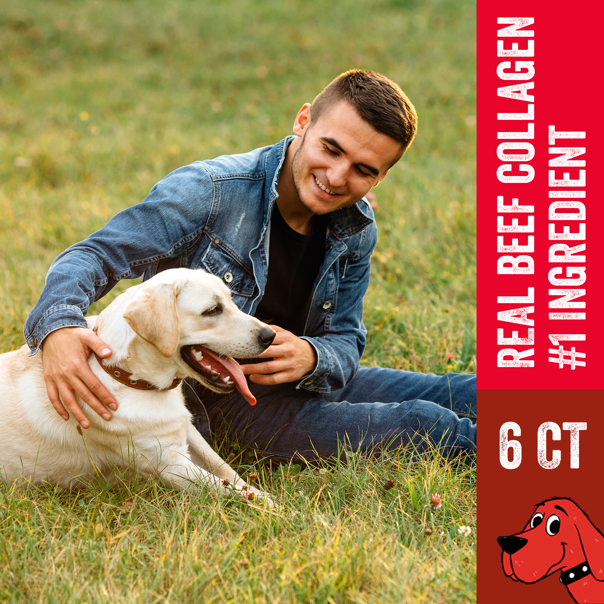 J&C PET SUPPLY LLC - Wholesale Pet Treats - Dog - Clifford The Big Red Dog Crunchy Beef Sticks 6 ct Dog Treats6