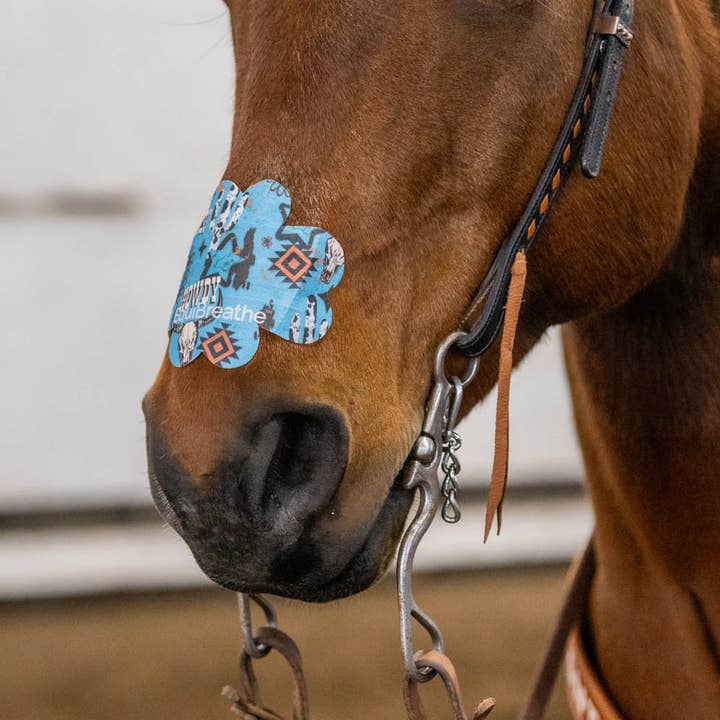 EquiBreathe™ - Wholesale Horseback Riding Gear - EquiBreathe™ Equine Nasal Patch - Howdy4