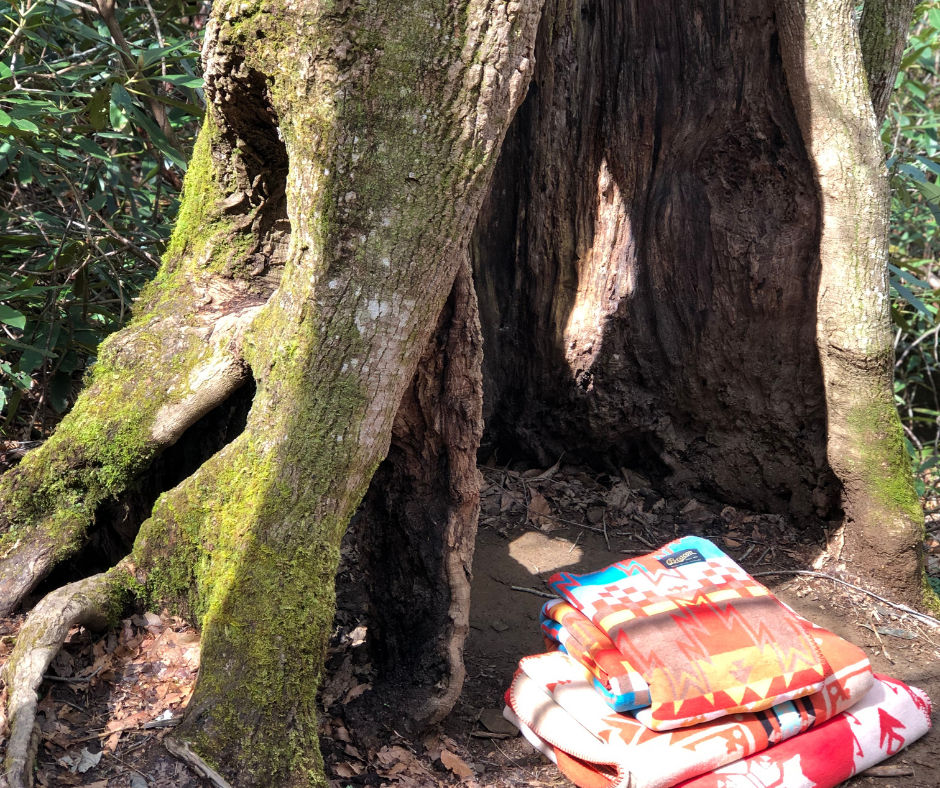 Follow Your True North - Wholesale Throw Blanket - Sun River Blanket4