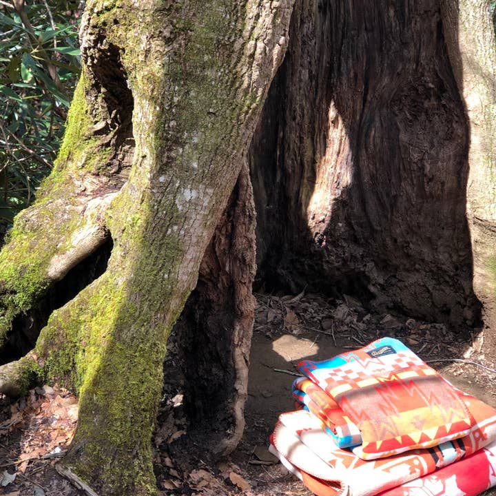 Follow Your True North - Wholesale Throw Blanket - Sun River Blanket4