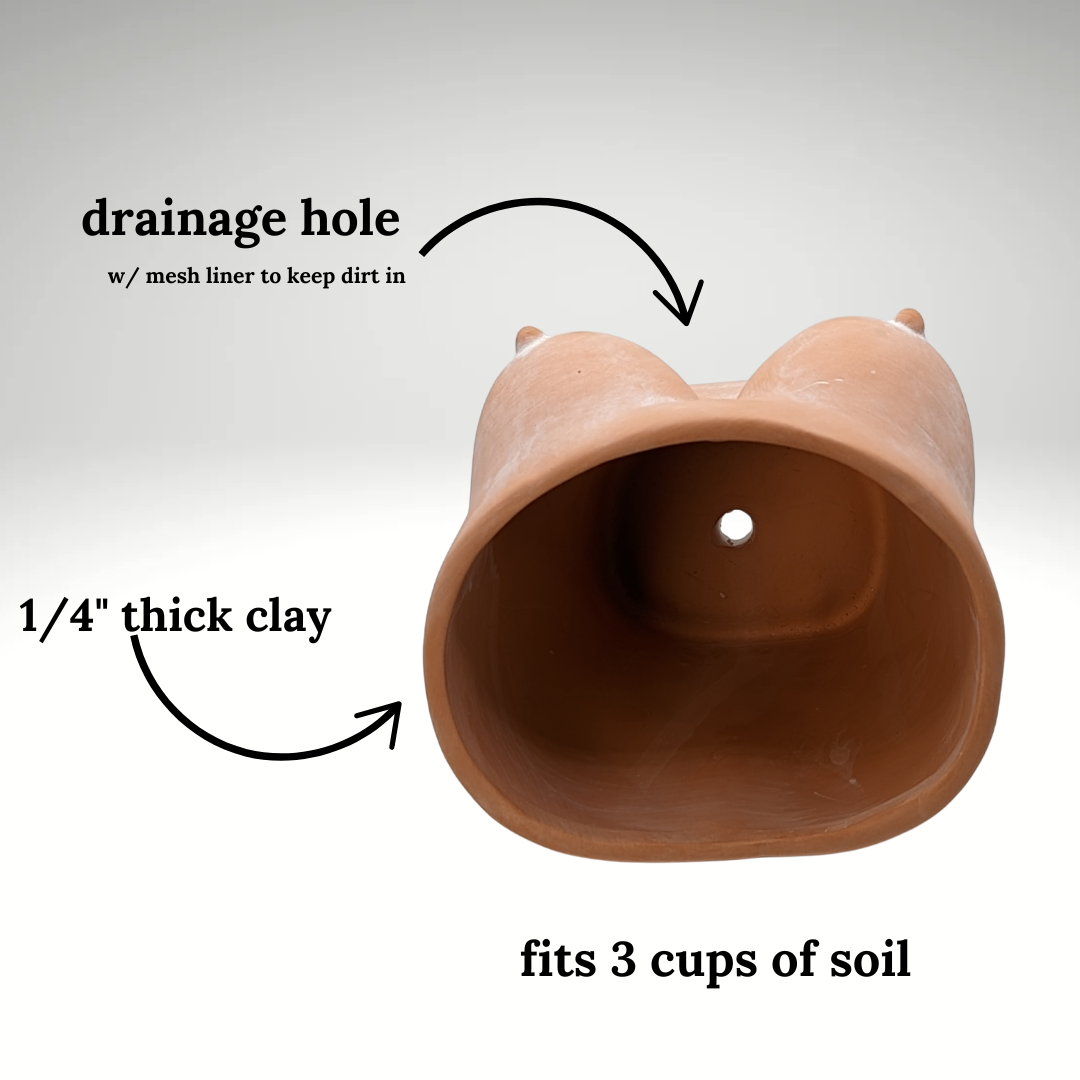 Simply Supplied Co – wholesale Kruka – Boob Kruka | Terrakotta Kruka | Roliga Bröst Kaktus Unik16