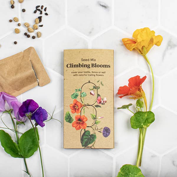 Botanopia - gifts , decor and cards for plant lovers - Wholesale Plant Seeds - Climbing Blooms Seed Mix3