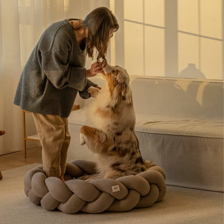 Hunting Pony - Vendita all'ingrosso Letto - Cani - Cuccia per cani Pony kolosony beige