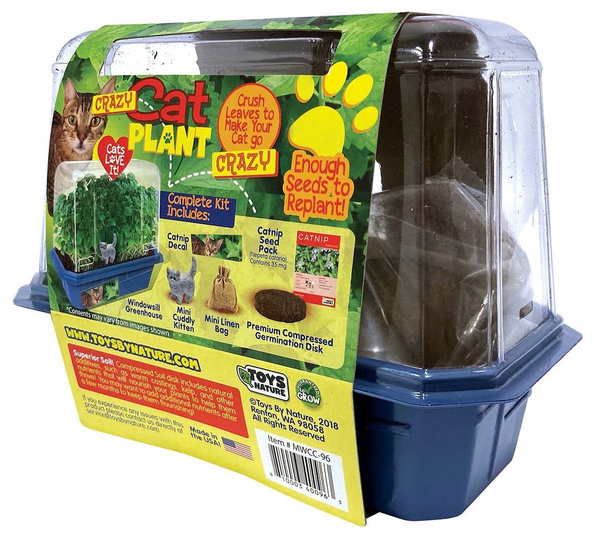 Silver Circle Products - Wholesale DIY Craft Kit - Crazy Cat Plant Mini World Terrarium 4