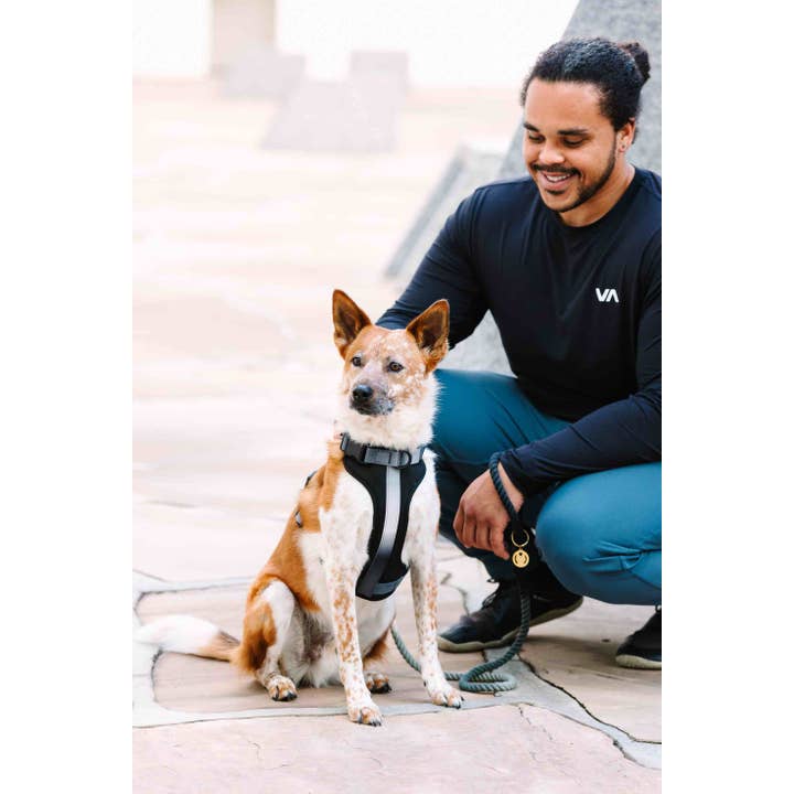 Pink Papyrus | Premium, Durable, & Stylish Dog Products - Wholesale Pet Harness - Dog - Rowan Dog Harness | No Pull Dog Harness | Black Dog Harness