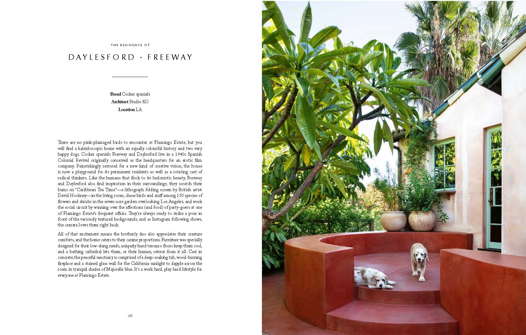 Chronicle Books - Wholesale Pets - Resident Dog (Volume Two)2