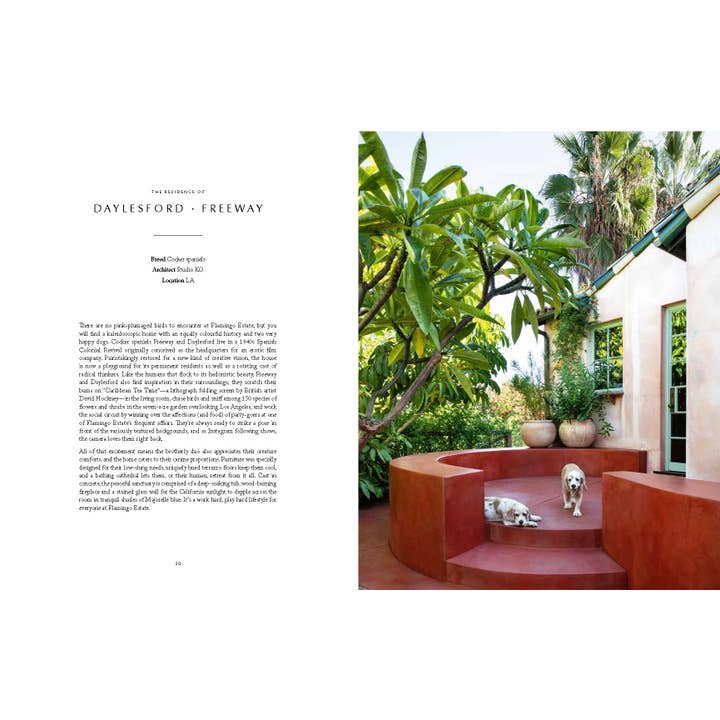 Chronicle Books - Wholesale Pets - Resident Dog (Volume Two)2