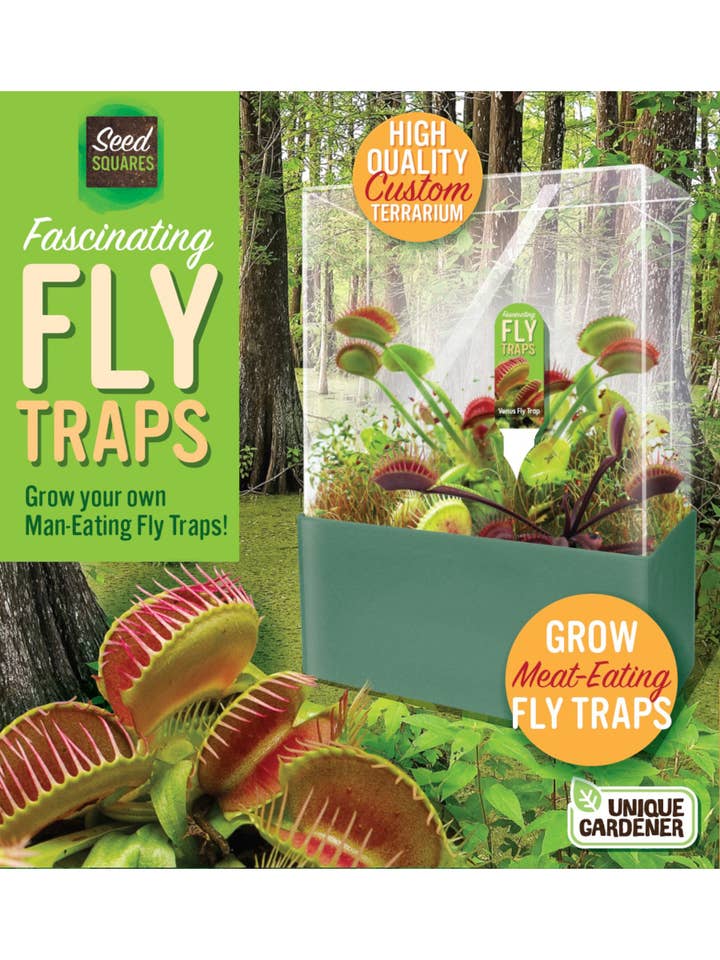 Fascinating Flytraps Seed Square Terrarium for wholesale by Silver Circle Products