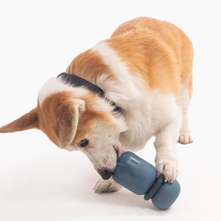 Fable Pets - Wholesale Pet Toy - Dog - Armadillo Dog Toy8