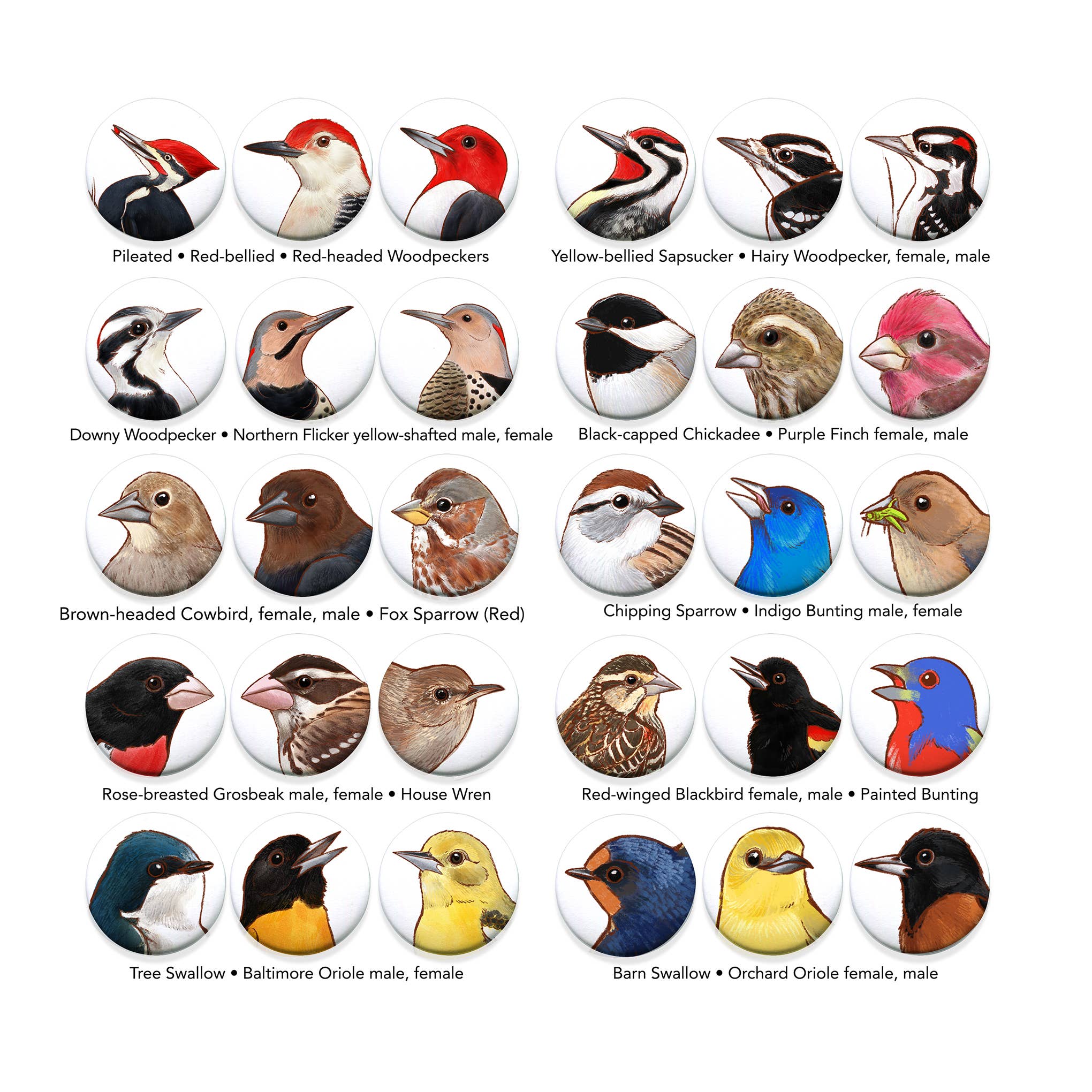 River Thrush Studio - Wholesale Lapel Pin/Button - Bird Portrait Pins 1.5 inches2