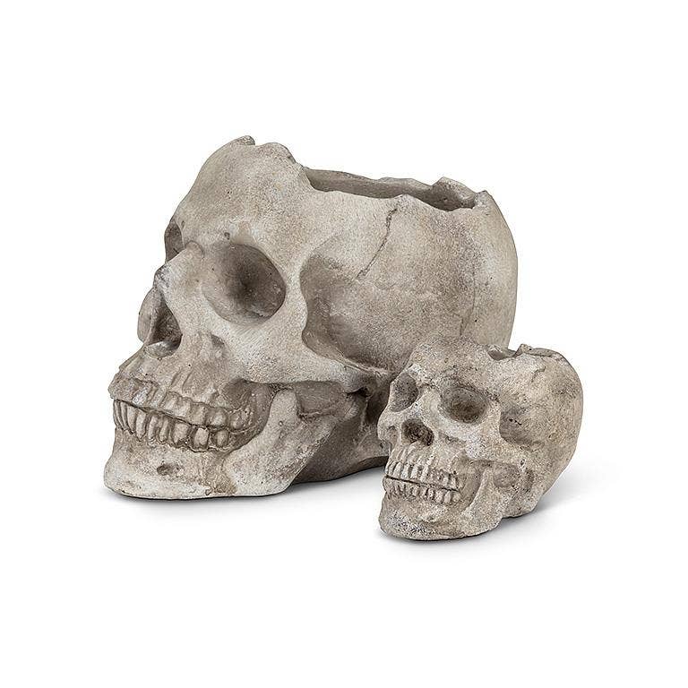 Abbott – Engroshandel Plantekrukke – Lg Skull Planter-5"H-9702