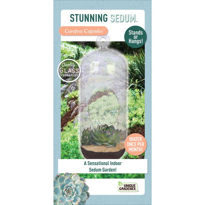 Silver Circle Products - Wholesale Terrarium - Stunning Sedum Carefree Capsule Glass Terrarium