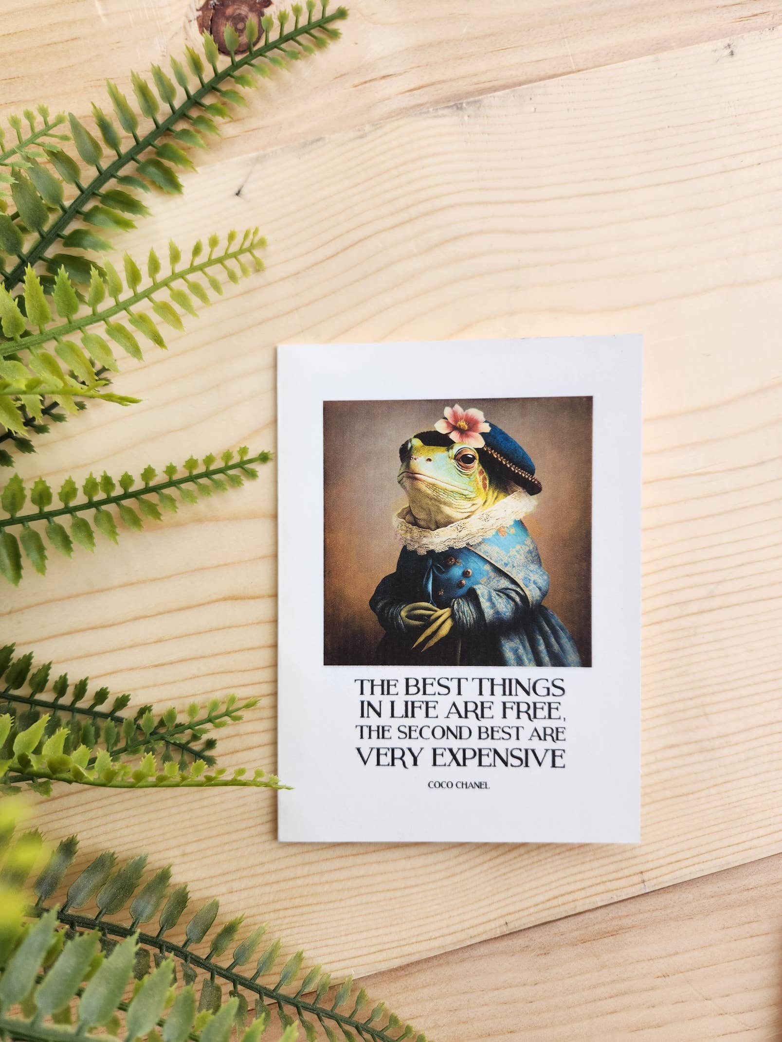 Desmond Brown - Wholesale Stationery/Notecard Set - wit and wisdom, fancy frogs- packaged notecard set of 46