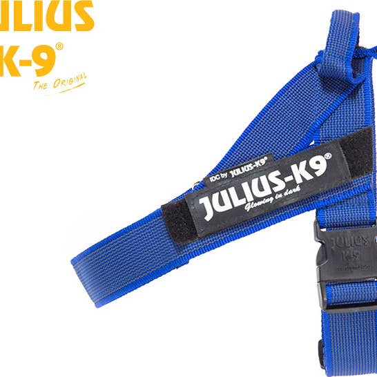 IDC belt blue for wholesale by K9 Shop