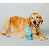 C1R B2B - Wholesale Pet plush toy – Dog - Scruffy - Mutt Plug McRuff 5