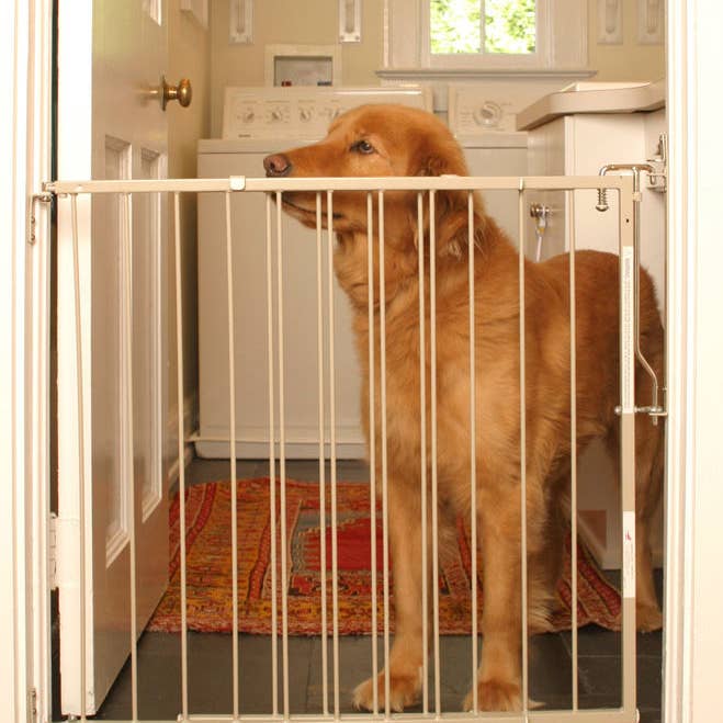 Cardinal Gates Duragate Pet Gate (Model MG-25) for wholesale by Cardinal Gates, Inc.