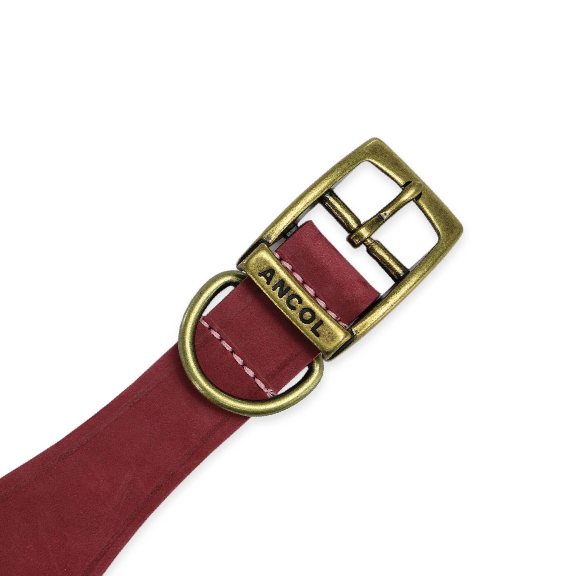 Ancol Pet Products Ltd – wholesale Pet collar – Dog – Timberwolf Leather Hound  Collar ( Size 30-34cm)11