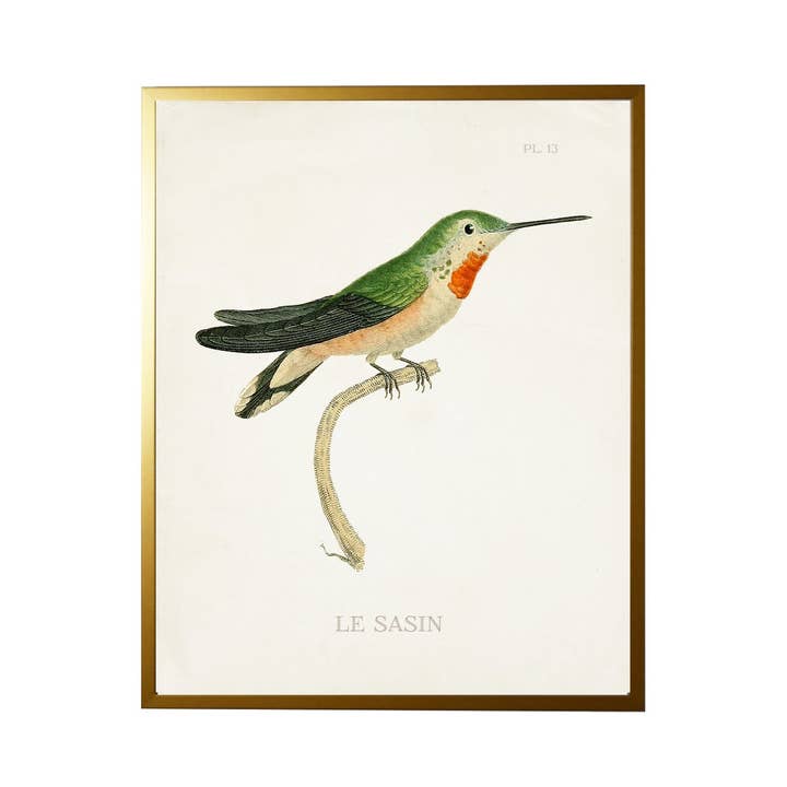 Plato de colibrí 13 en blanco para venta al por mayor de Antique Curiosities Inc