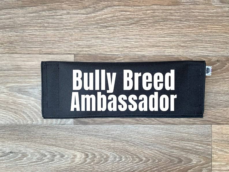 Best Friend Supplies Co - Wholesale Pet Leash - Dog - Bully Breed Ambassador0