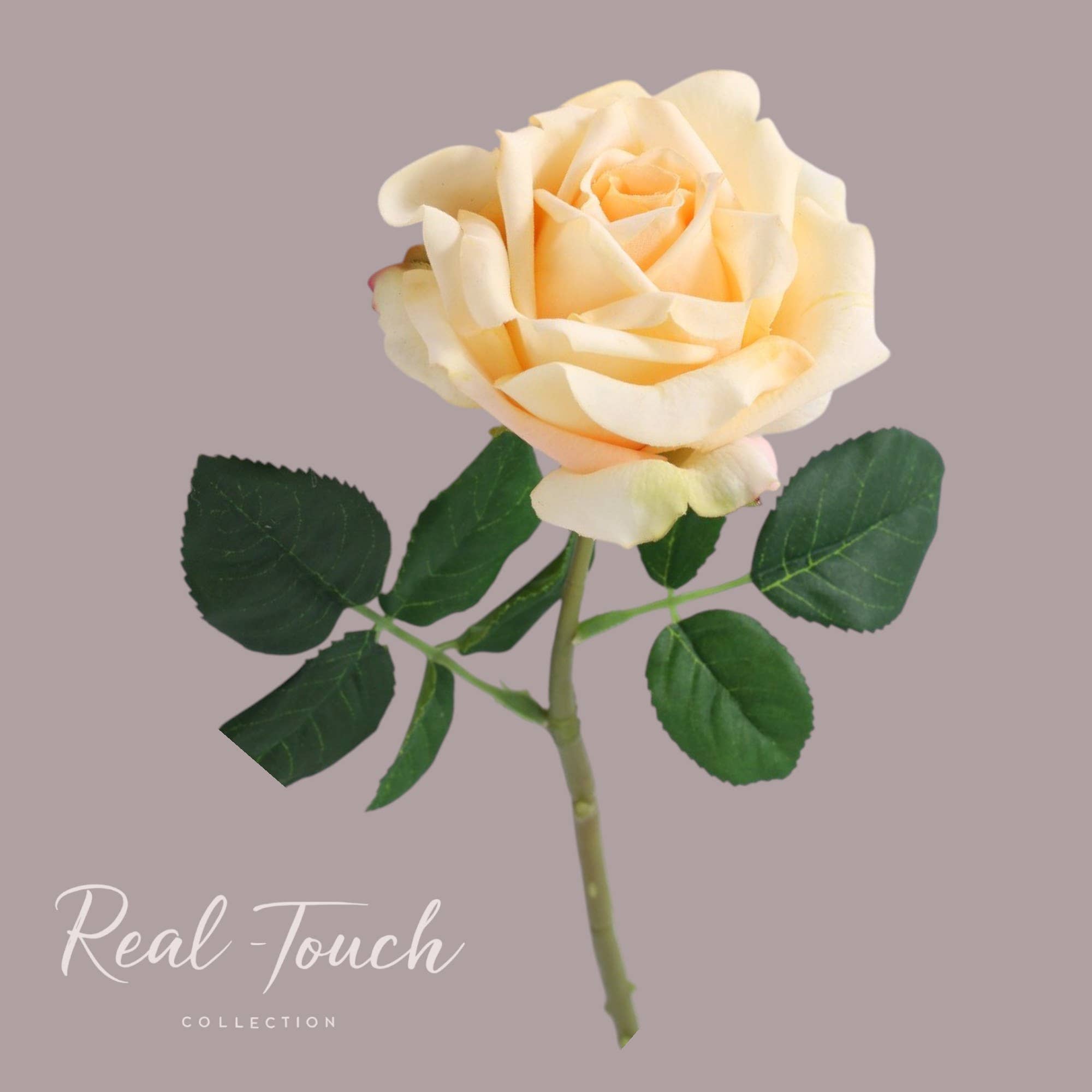 Angel Isabella - Vente Fleurs artificielles - Rose de jardin artificielle Ingrid Bergman 43 cm Real Touch3