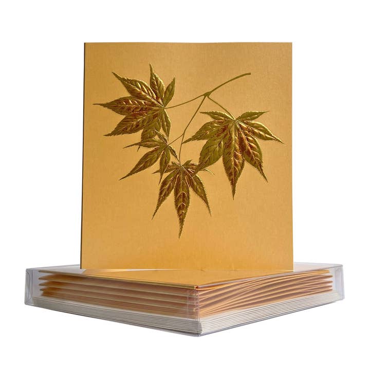 PAULA SKENE DESIGNS - Wholesale Gewone wenskaart - Japanse esdoorncluster op blanco herfstkaart van Cantaloupe