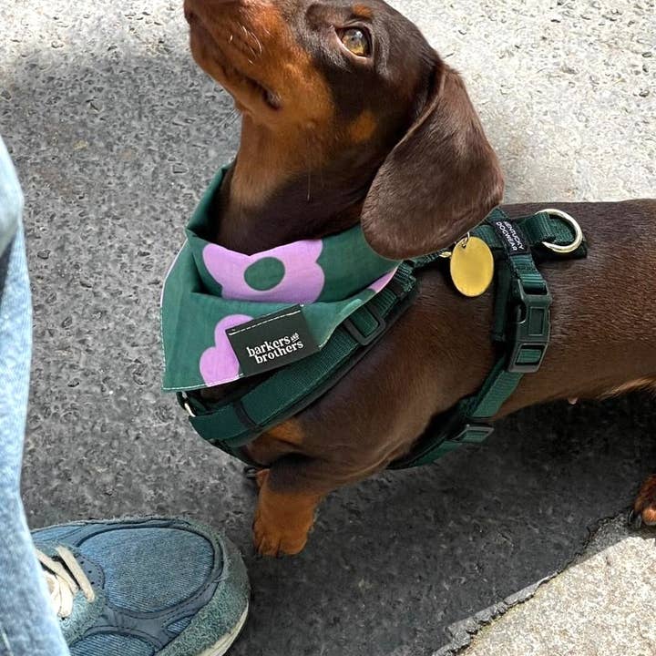 The Paws - Wholesale Pet Bandana - Dog - Custom Woven Labels7