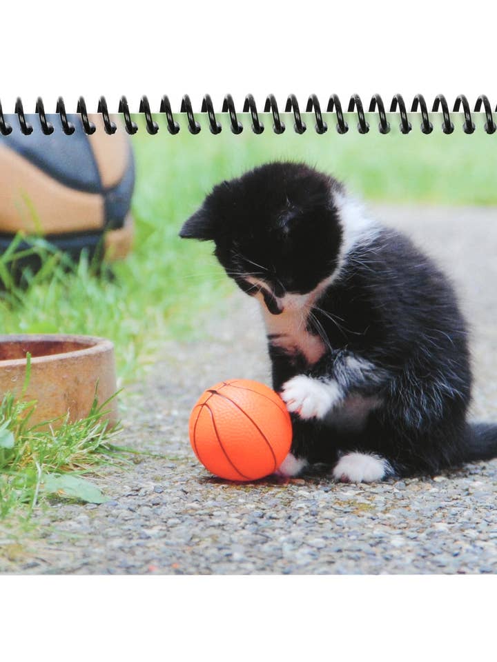 The Superior Check and Debit Card Register - Kitten for wholesale by The Superior Register