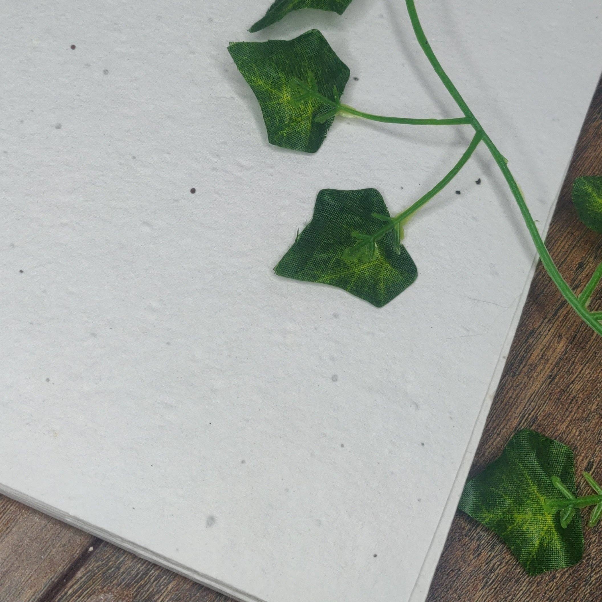 Arthur&Luna – wholesale Stationery/notecard set – Wildflower seed paper A4 200gsm2