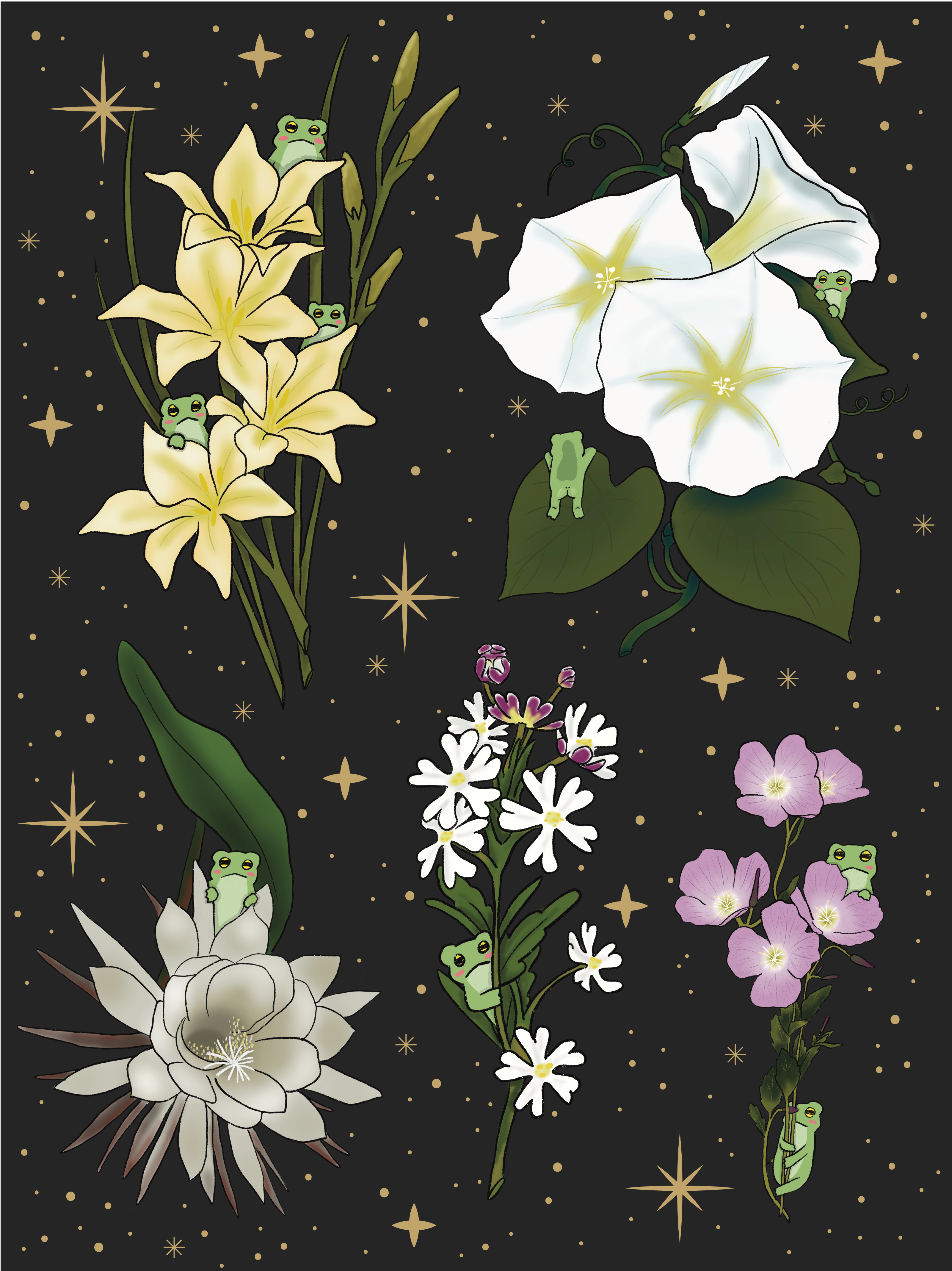 Frogblobs - Wholesale Throw Blanket - Night Flowers Tapestry Blanket3