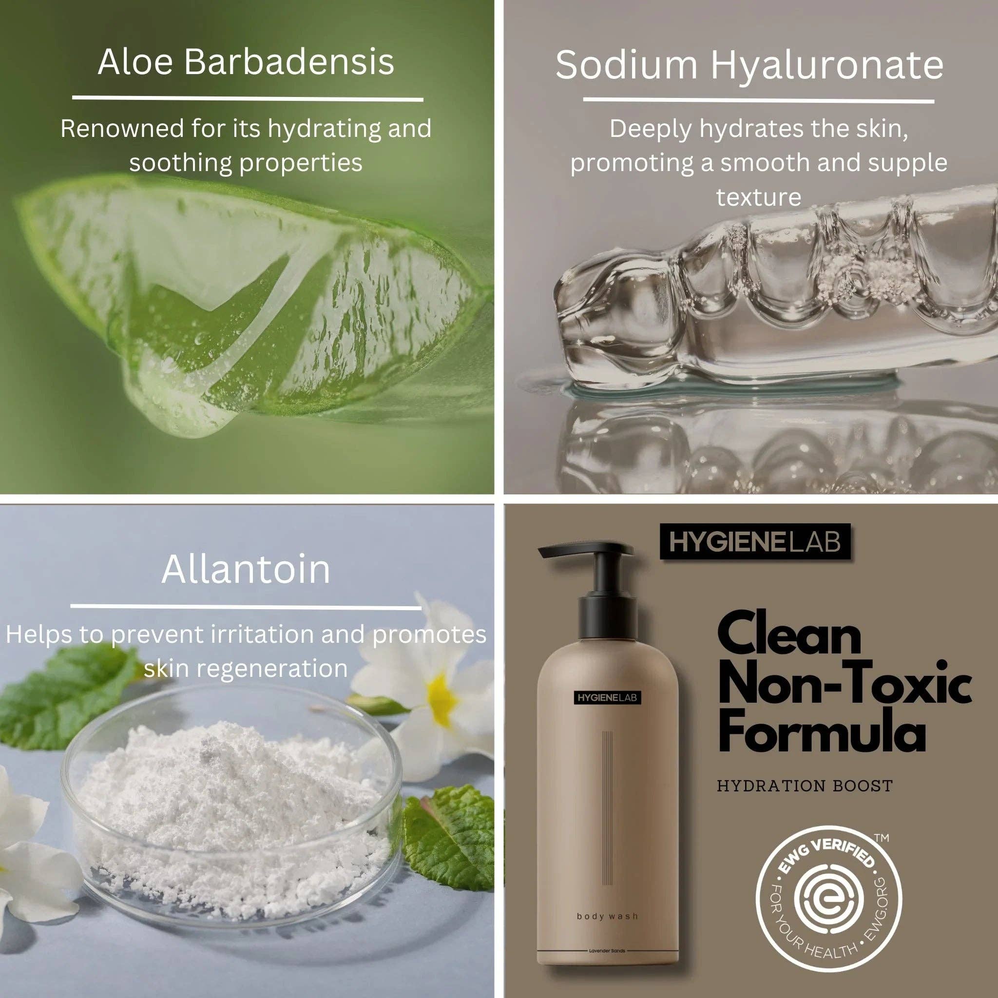 HygieneLab - Wholesale Body Wash/Shower Gel - Men's - Body Wash2