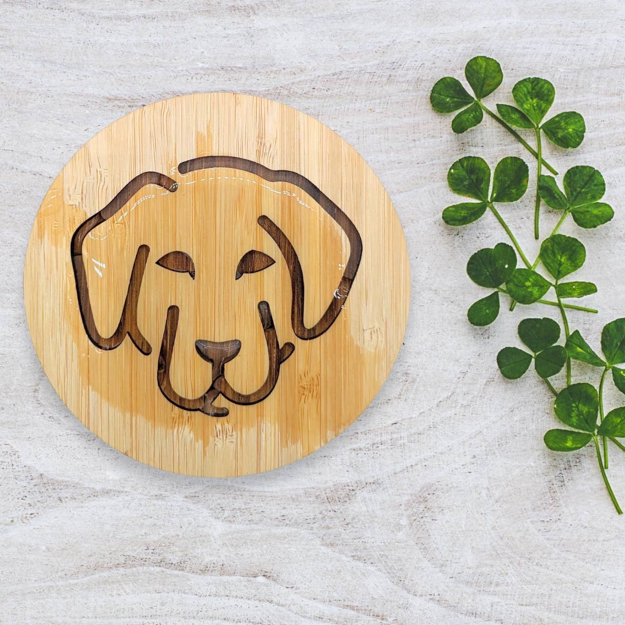 Rudderr, LLC/MintBucket - Wholesale Coasters - Set of 6 Bamboo Engraved Dog Coasters with Holder - Labrador5