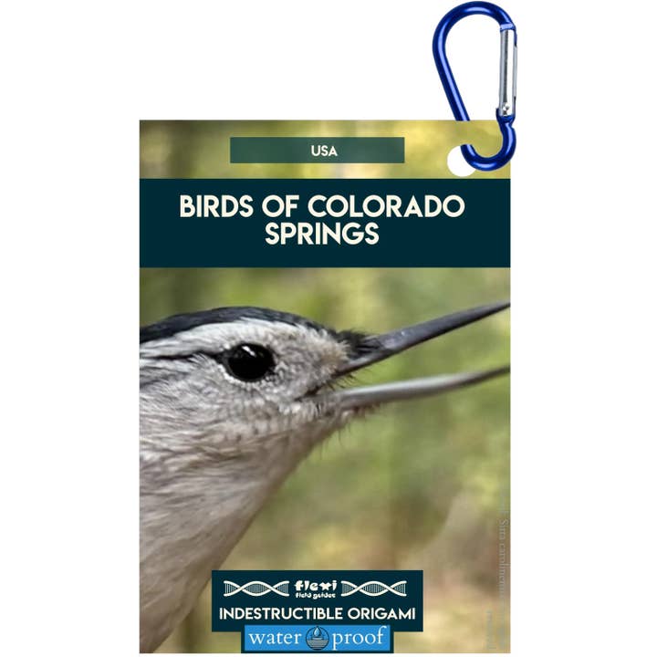 Fugle fra Colorado Springs-Uforgængelig Origami for engroshandel hos Flexi Field Guides