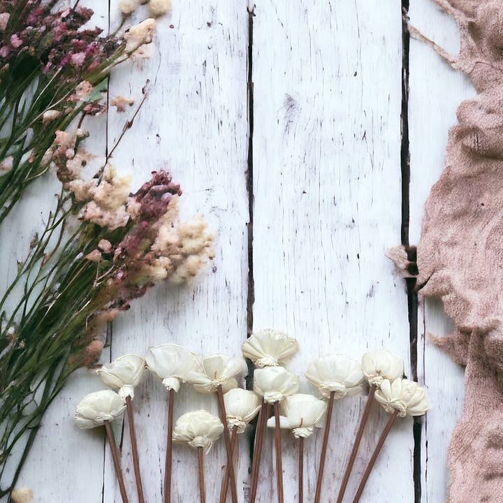 Sunsum Intentional Living - Wholesale Artificial Flowers - Assorted Mini Sola Wood Flower, 9” Rattan Wood Reed Diffuser6