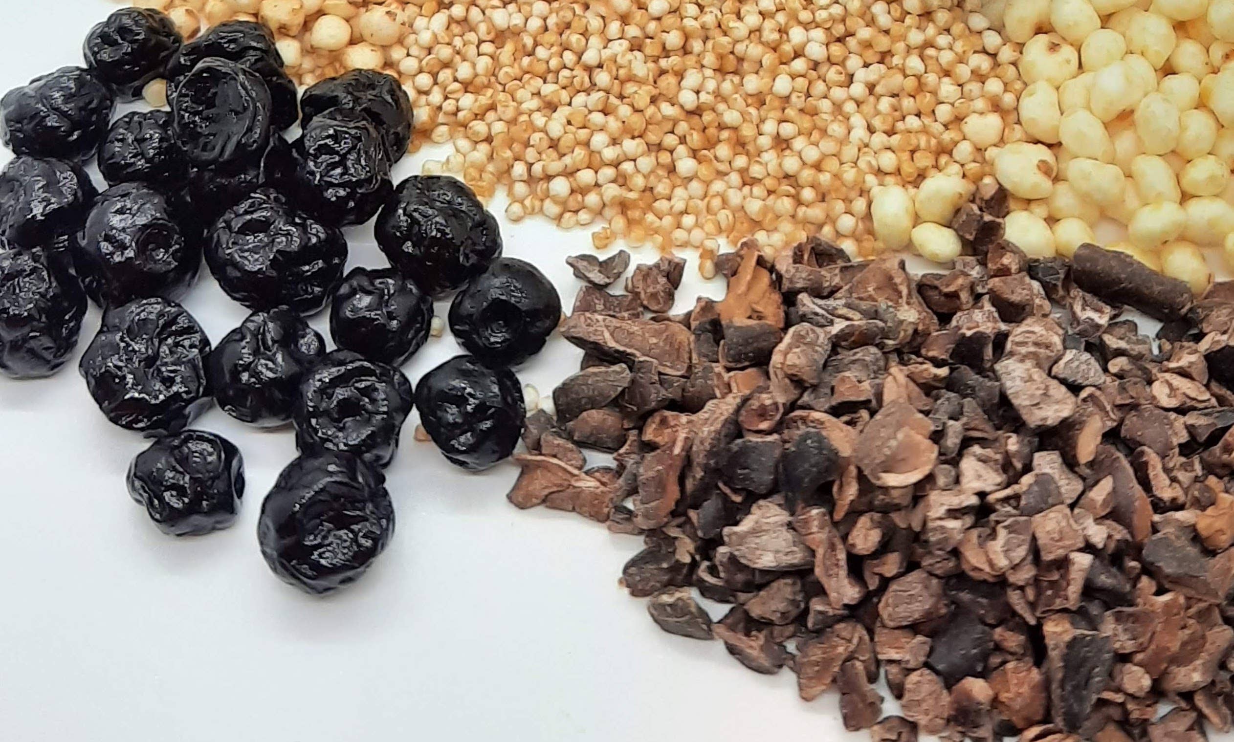 Paktli Foods - Wholesale Chocolate Covered Sweets - NEW Dark Chocolate Alegria Bites+Blueberries/Cacao Nibs1