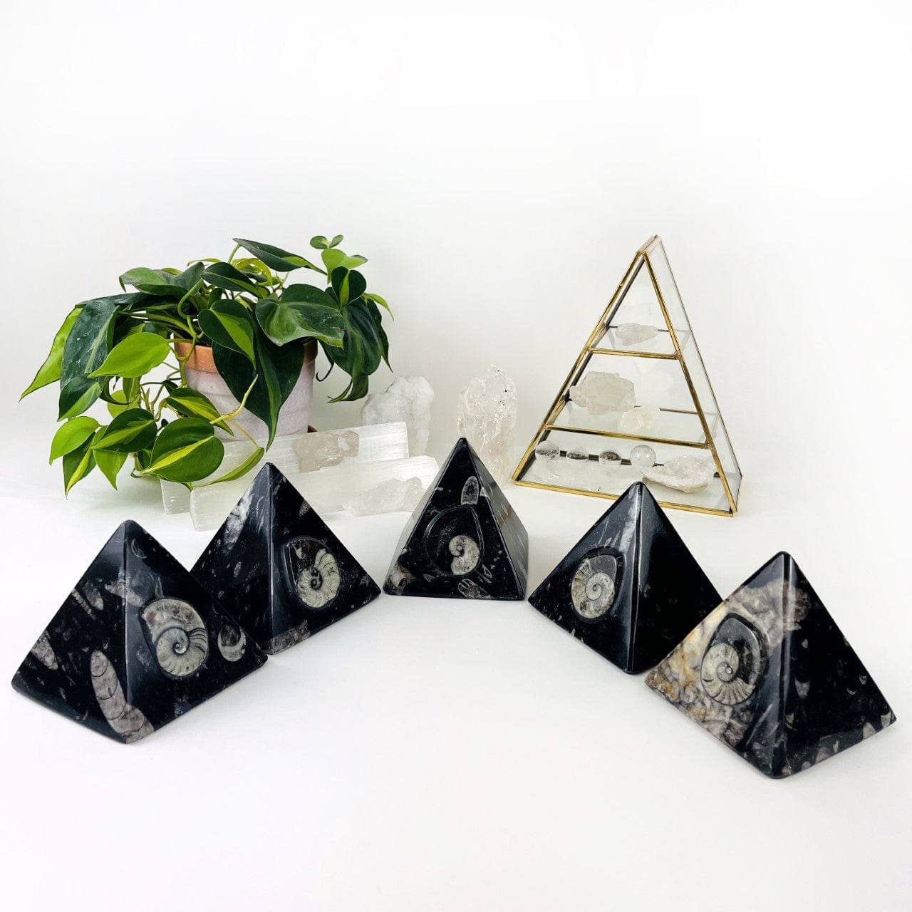 Rock Paradise – wholesale Decorative tabletop object – Ammonite and Orthoceras Fossil Pyramid6