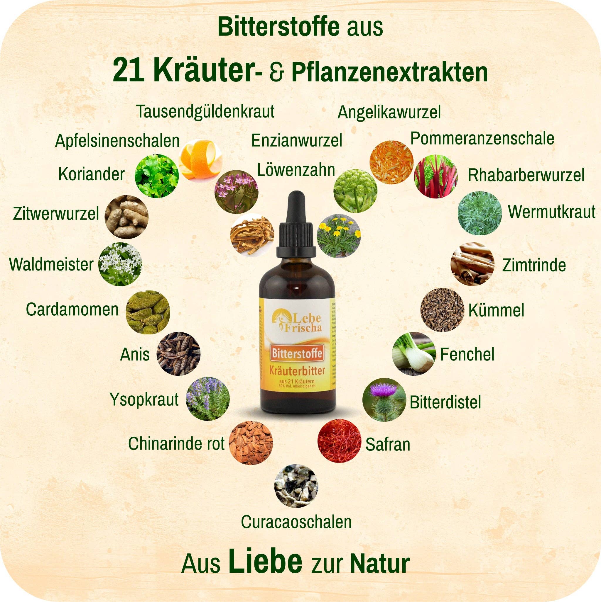 LebeFrischa – Suplemento/vitamina oral por atacado – LebeFrischa Gotas de Amargor – 21 Extratos de Ervas e Plantas 100 ml3