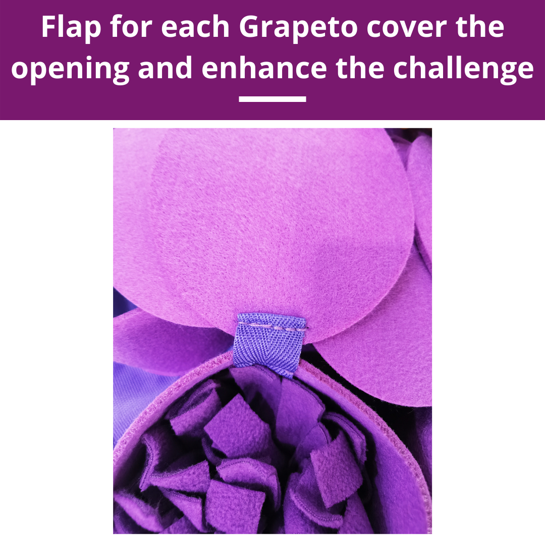 PawzNDogz - Wholesale Pet Food Mat - Dog - Forbidden Grapes ™ Snuffle Mat | Challenge Level 47