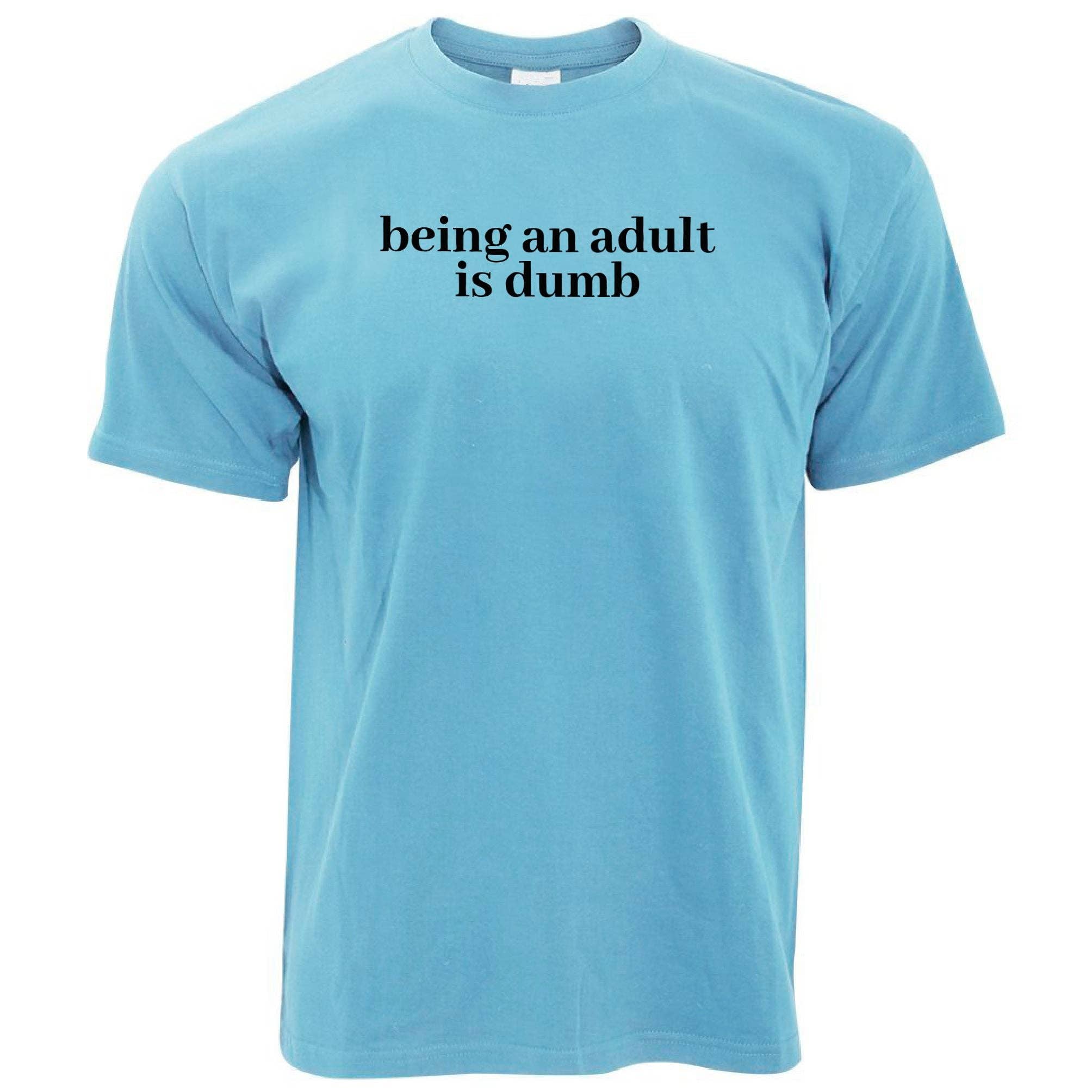 PIGMENTIFY - Wholesale Screen Printed T-Shirt - Men's - Mens Novelty Slogan Being An Adult Is Dumb T-Shirt9