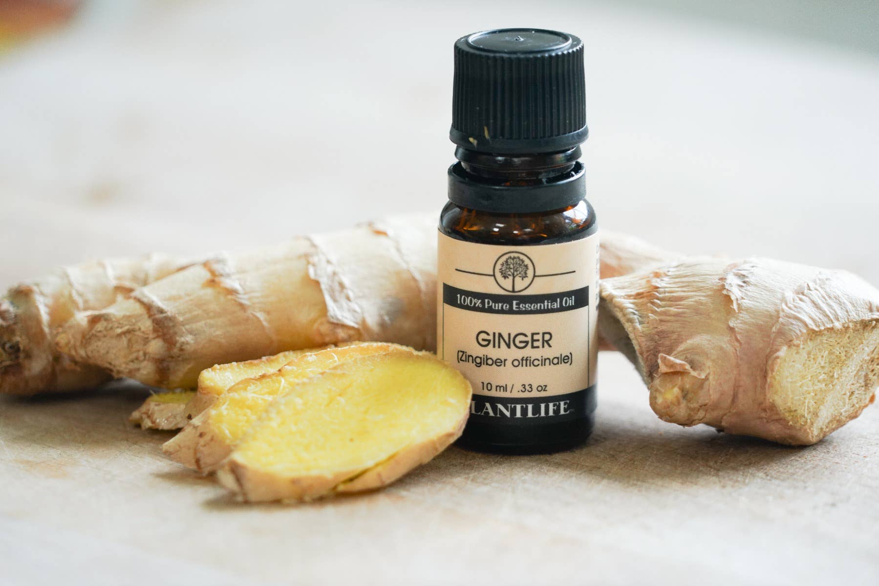 Plantlife - Wholesale Essential Oil - Ginger Essential Oil2