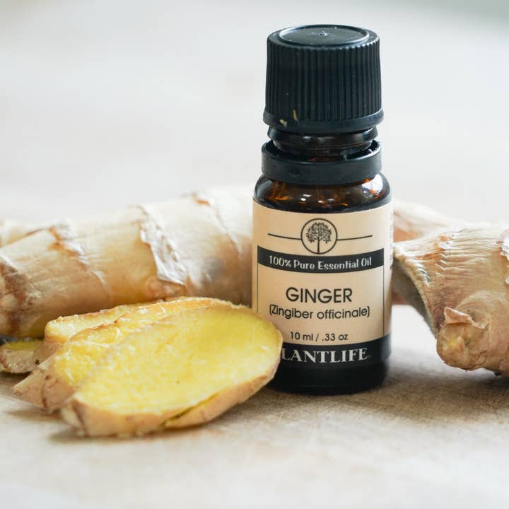 Plantlife - Wholesale Essential Oil - Ginger Essential Oil2