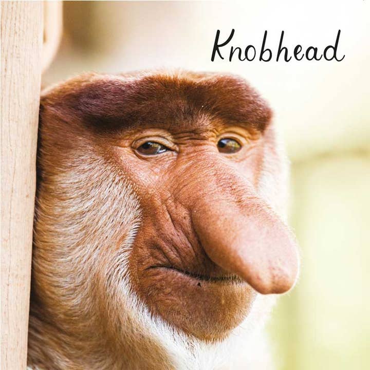 Hammond Gower Publications Ltd - Wholesale Everyday Greeting Card - Humour Card - Knobhead