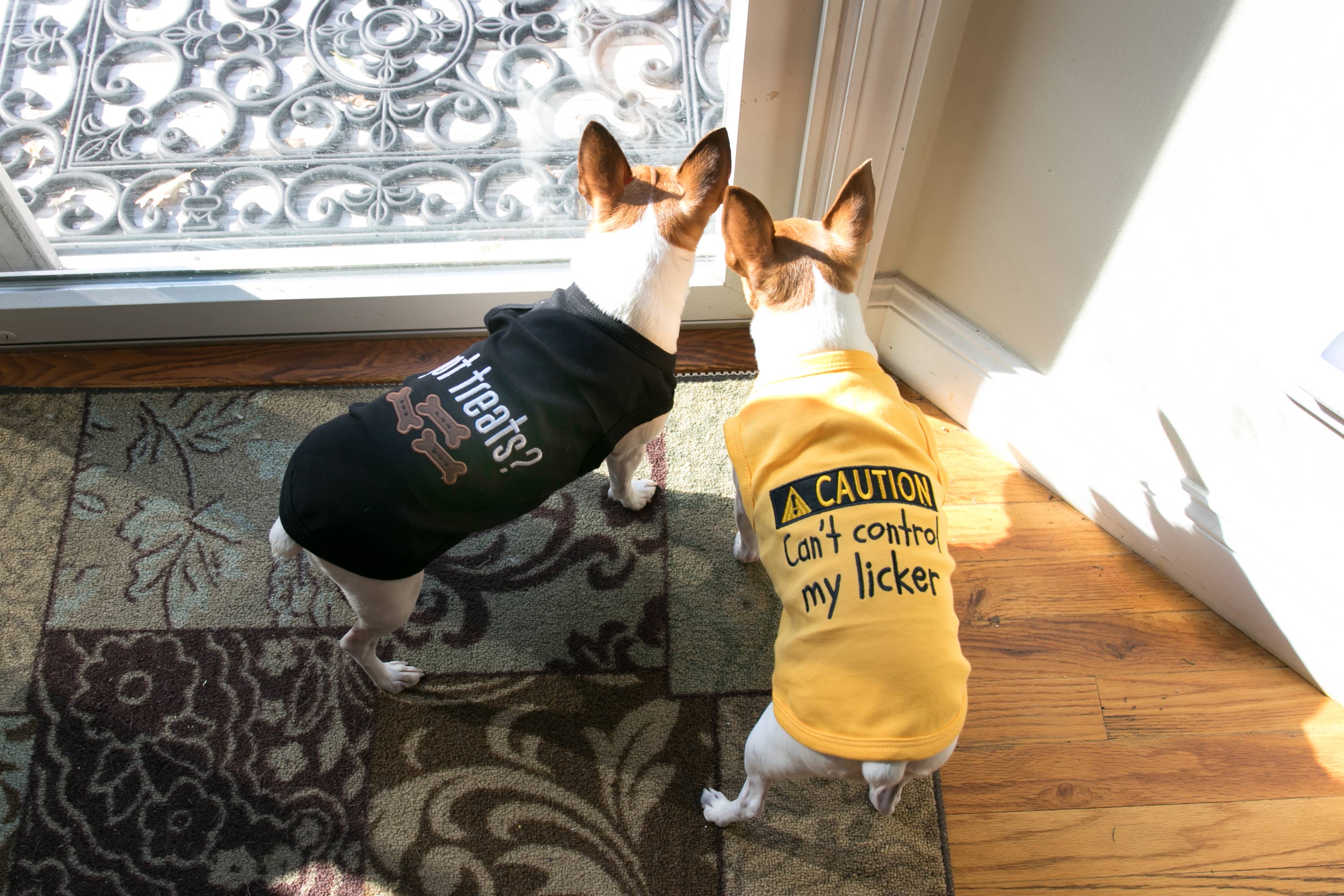 Parisian Pet® - Wholesale Pet Shirt - Dog - Licker Dog T-Shirt – Trendy & Humorous Pet Clothing5