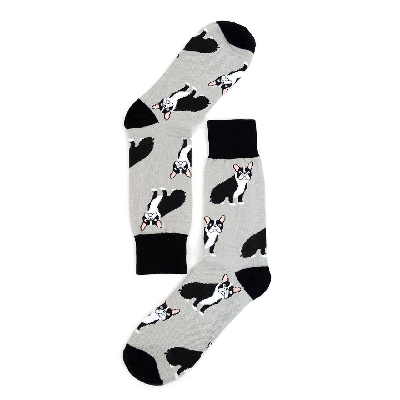 Selini New York - Wholesale Socks - Men's - Men's French Bulldog Novelty Socks - NVS19101